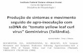 Produção de sintomas e movimento seguido de agro-inoculação com ssDNA de “tomato yellow leaf curl virus” Geminivirus (Tailândia). - Apresentador : Tony L. Moura - Prof. Milton