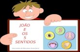 João e-os-5-sentidos
