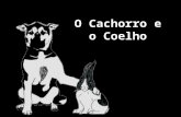 O Cachorroeo Coelho