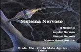 Fisiologia do sistema_nervoso_e_sistema_neuromuscular