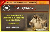 UI - A Biblia - Curso novocbic 2012