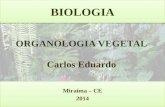Organologia Vegetal - Carlos Eduardo