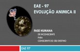 Eae   97 - evolução animica-ii_fase_humana - rev_19_10_13