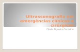 Ultrassonografia veterinria em emergencias