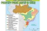 Aula dominios morfoclimaticos_do_brasil_16-05-2012_parte1