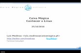 Luis Medinas Caixa Magica presentation 25/03/2010