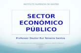 Sector Empresarial do Estado, Professor Doutor Rui Teixeira Santos, ISG (Lisboa 2013)