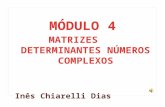Implementação currículo- Módulo IV-Matrizes/Determinantes/Nºs Complexos