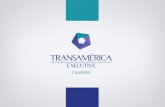 Transamérica executive campos
