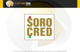 Case Sorocred - Culturetec Agência Web
