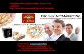 Phoenix NetMarketing - A melhor oportunidade online do mundo