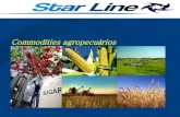 Star line presentacion portugues