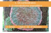 1°S carboidratos e metabolismo energ©tico_ abril_2014