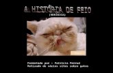 A HistóRia De Feio