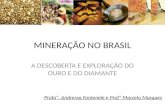 A época do ouro no brasil