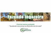 Investimento em Cotas de Biodiversidade - Reserva Florestal Porto Ingazeira