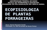 Ecofisiologia de plantas forrageiras