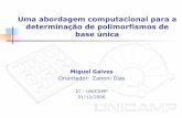 Uma abordagem computacional para a determinação de polimorfismos de base única