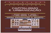 Capitalismo e urbanização