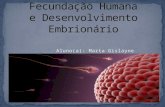 Fecundação Humana e Desenvolvimento Embrionário.