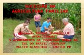 Sucess£o na Agricultura Familiar - por Valter Bianchini