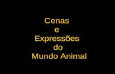 Expressões animais
