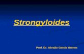 Strongyloides Stercoralis E Estrongiloidiase