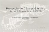 Protocolo De  Câncer  Gástrico  NCCN