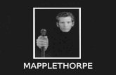 Apresentação - Mapplethorpe