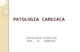 Patologia cardiaca 2013