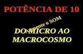 Macro E Micro PotêNcia