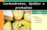 II. 2 Carboidratos e lipídios