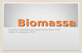 Trabalho sobre-biomassa-power-point-1209386643689282-8
