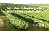 Tendências da irrigação por gotejamento no mundo para os próximos 25 anos Métodos de Nutrirrigação Avançada para a cultura do café -