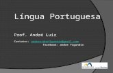 Aula8  8 mitos sobre a língua portuguesa