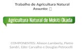Agricultura natural(1)