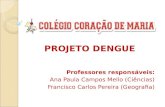 Projeto dengue 2013