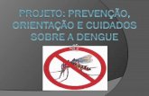 Prevenção, Orientação e cuidados sobre a Dengue.