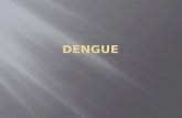 Seminário Dengue