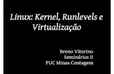 Linux: Kernel, Runlevels e Virtualização