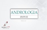 Midia kit  - Grupo de Andrologia