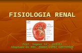 Fisiologia Renal   Prof  Vagner S Ucb