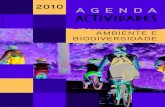 Agenda de atividades CEA 2010