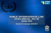 Apresentação pré-embarque Public International Law - PUC SP 2014