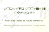 Aula 4 - Flauta transversal - Nível 2 - Projeto Aprendiz VV - 2012