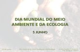 Dia mundial do meio ambiente e da ecologia