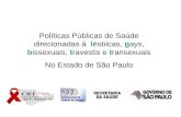 Políticas Públicas de Saúde direcionadas à Poulação LGBT no Estado de São Paulo