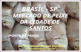 Mercado De Peixe Da Cidade De Santos   Sp   Brasil