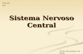 Sistema nervoso central acabado1