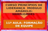 ESCOLA DE EXCELÊNCIA - CURSO PRINCÍPIOS DE LIDERANÇA - MODULO -AMARELO  - HABILIDADES - 11ª AULA - FORMAÇÃO DE EQUIPE